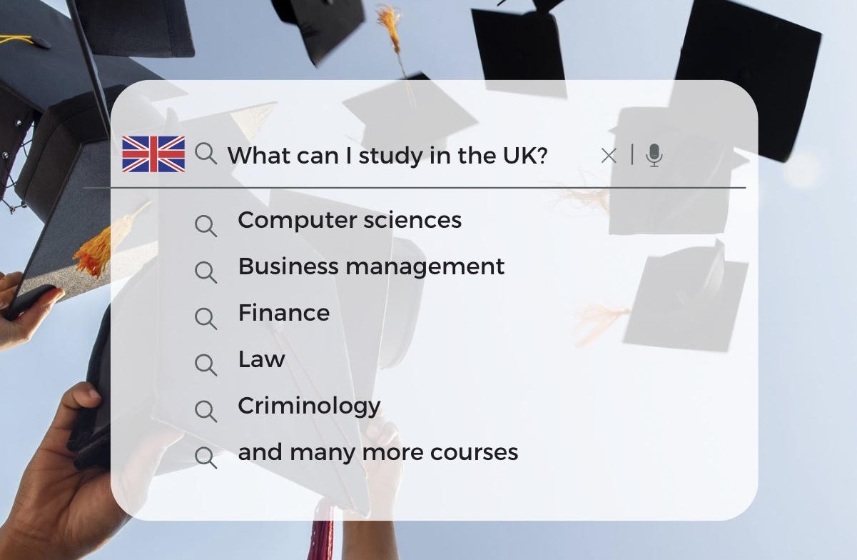 search-bar-pic