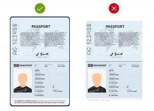 Passport-example